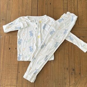 Little English Easter spring animal pajama set kids 6 bunny ducks long sleeve